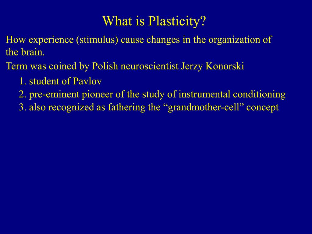 PPT - What is Plasticity? PowerPoint Presentation, free download - ID
