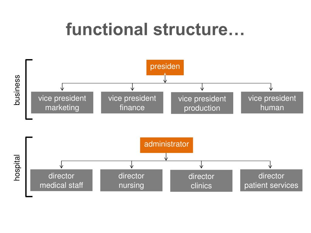 functional structure functional structure