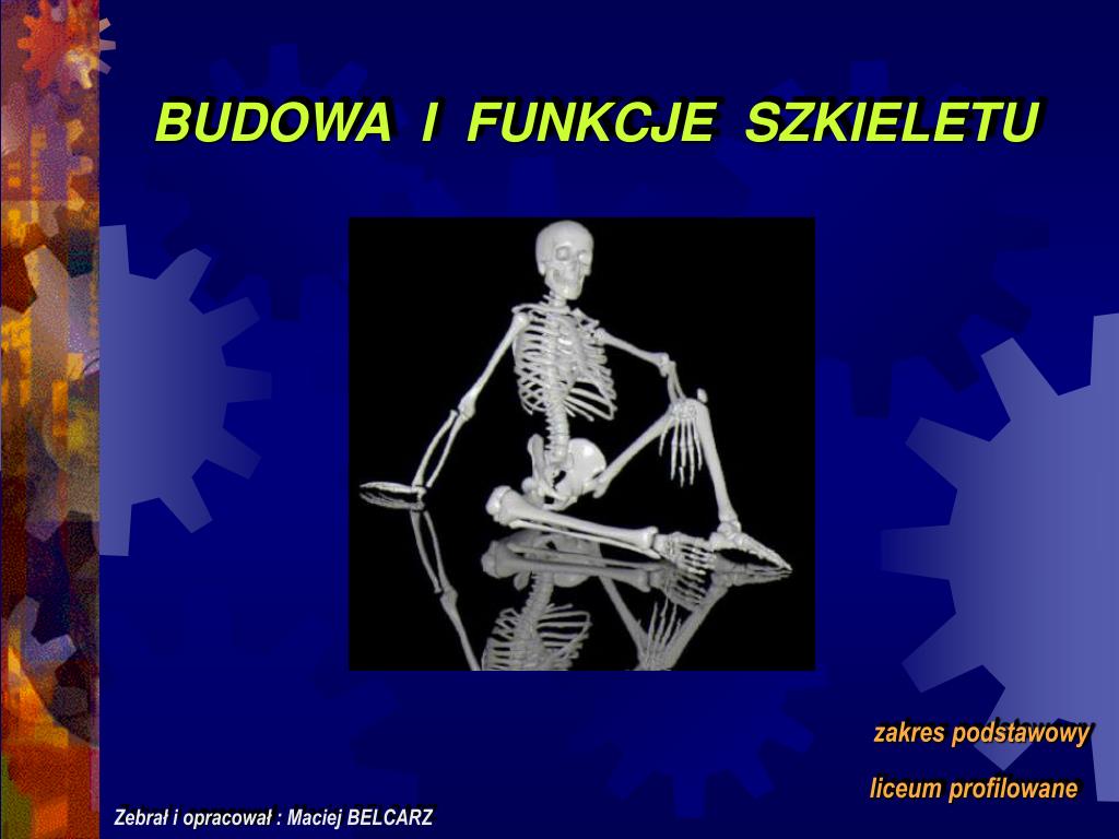 Ogólna Budowa I Funkcje Szkieletu PPT - BUDOWA I FUNKCJE SZKIELETU PowerPoint Presentation, free download