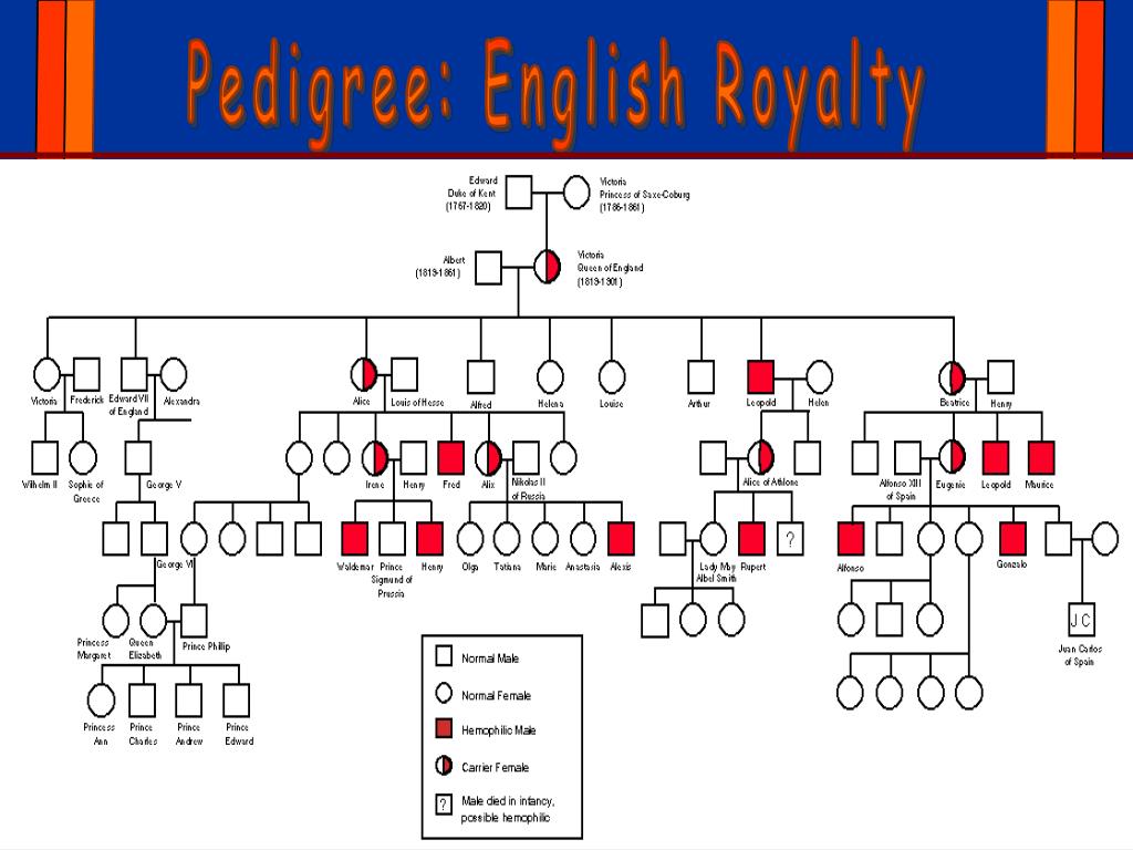 Ppt Genetics Powerpoint Presentation Free Download Id