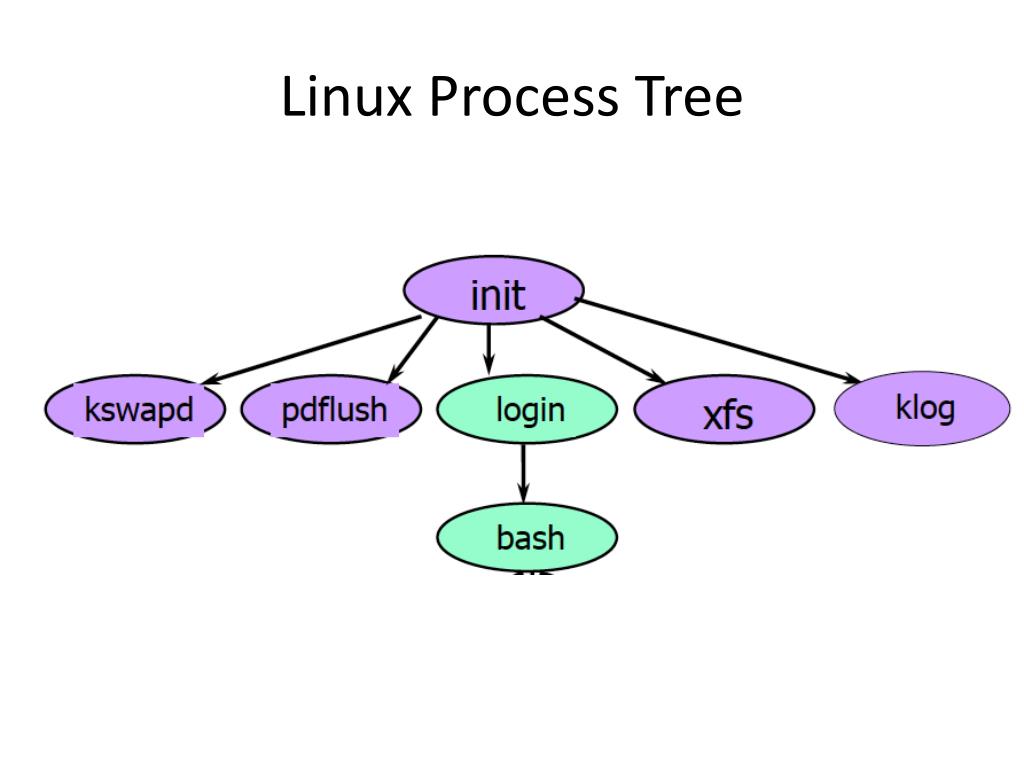 Process ubuntu