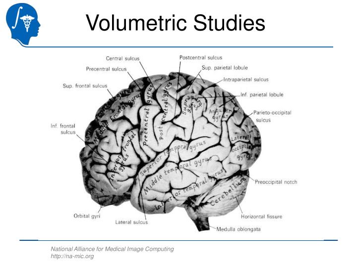 volumetric studies n.