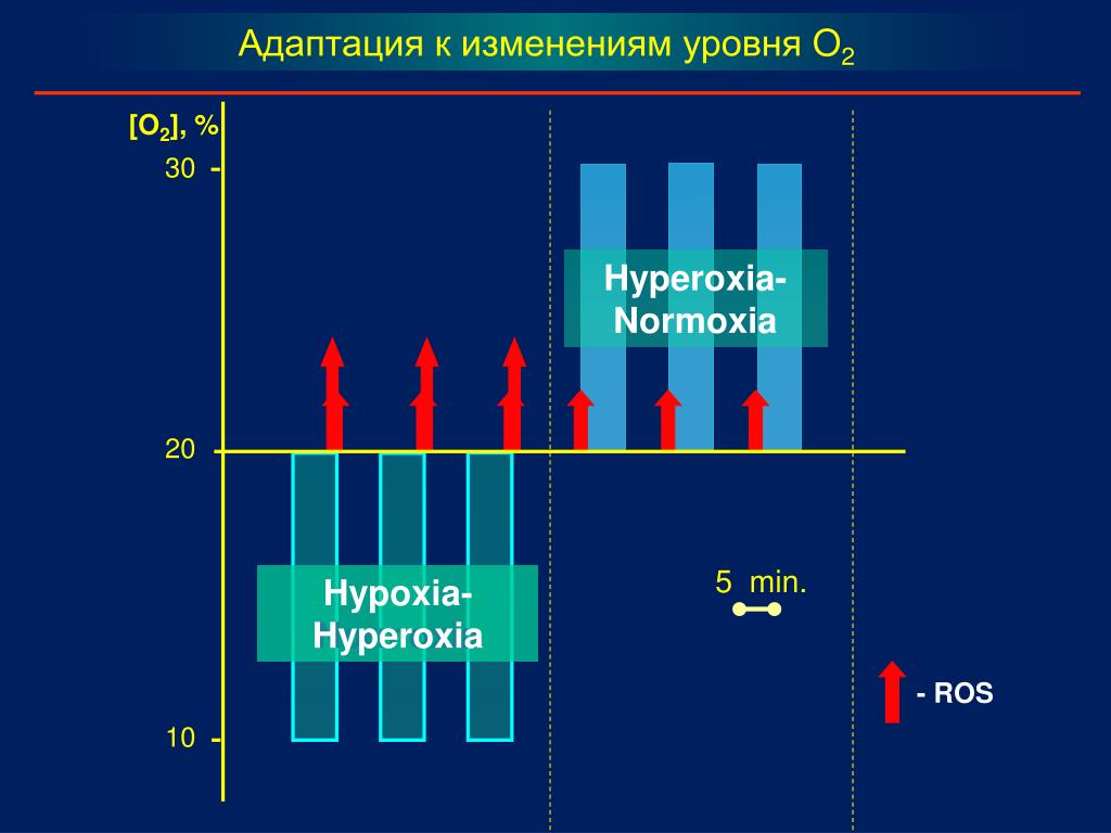 Изменение уровня кислорода. Hyperoxia.