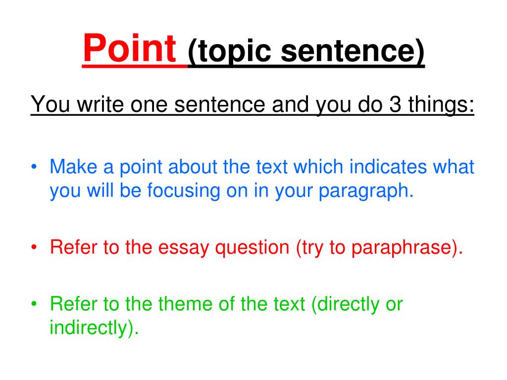 point sentence example essay