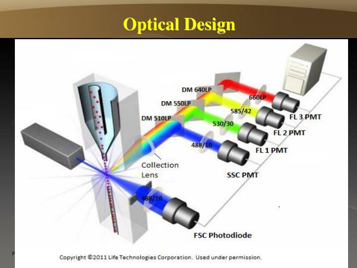 PPT Basics of Flow Cytometry PowerPoint Presentation ID3355687