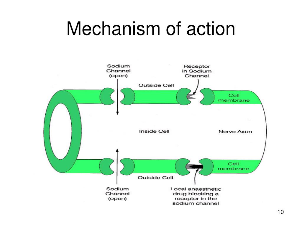 Mechanism of action. SSRIS mechanism of Action. Amantadine mechanism of Action. Diclofenac mechanism of Action.