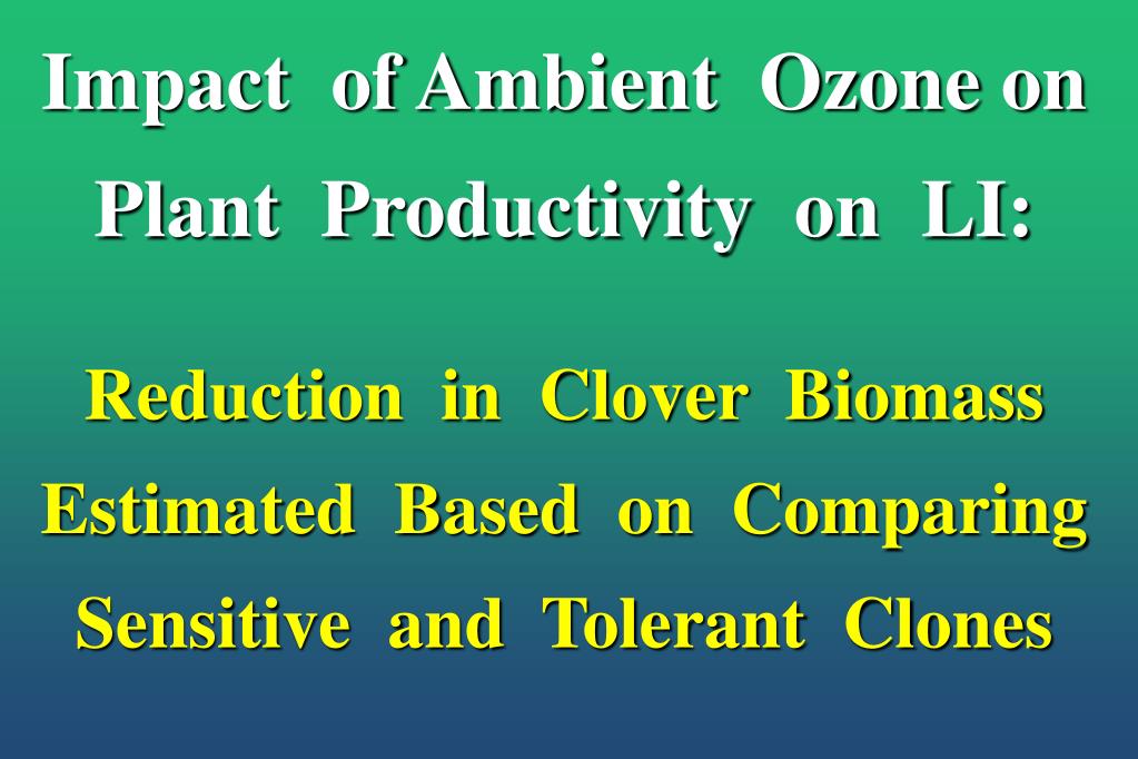 PPT - How Ozone Has Affected the Productivity of Plants on Long Island ...
