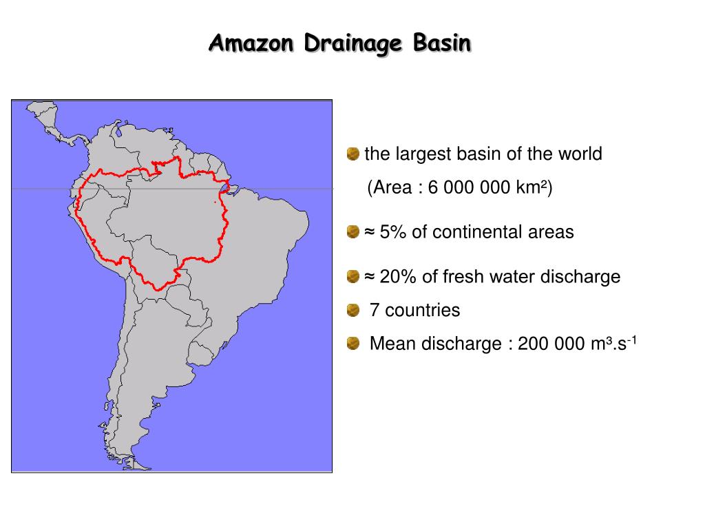 case study of amazon basin