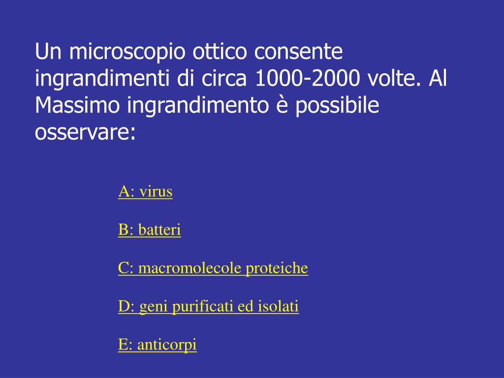 PPT - MICROSCOPIA PowerPoint Presentation, free download - ID:3357820