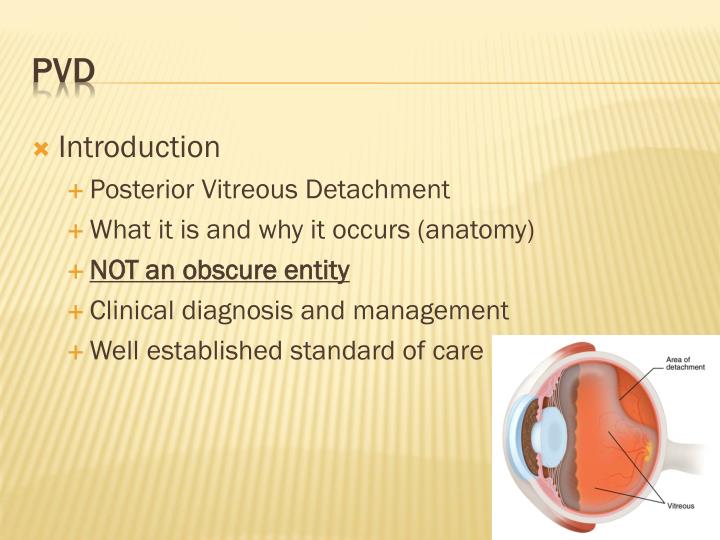 Pvd Diagnosis _ Peripheral Vascular Disease (PVD): Symptoms, Causes ...