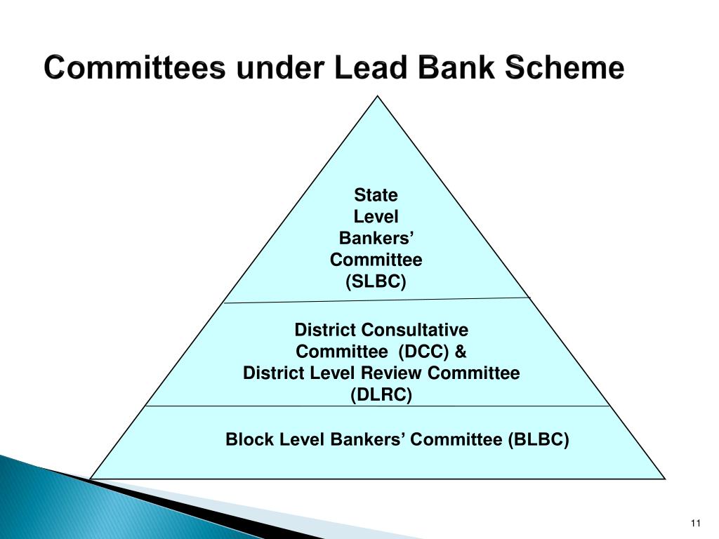 assignment of lead bank responsibility