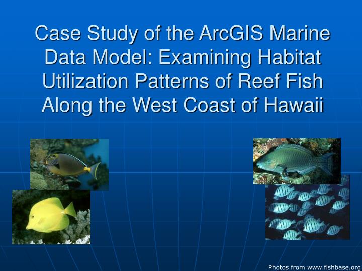 PPT Photos from fishbase PowerPoint Presentation, free download ID