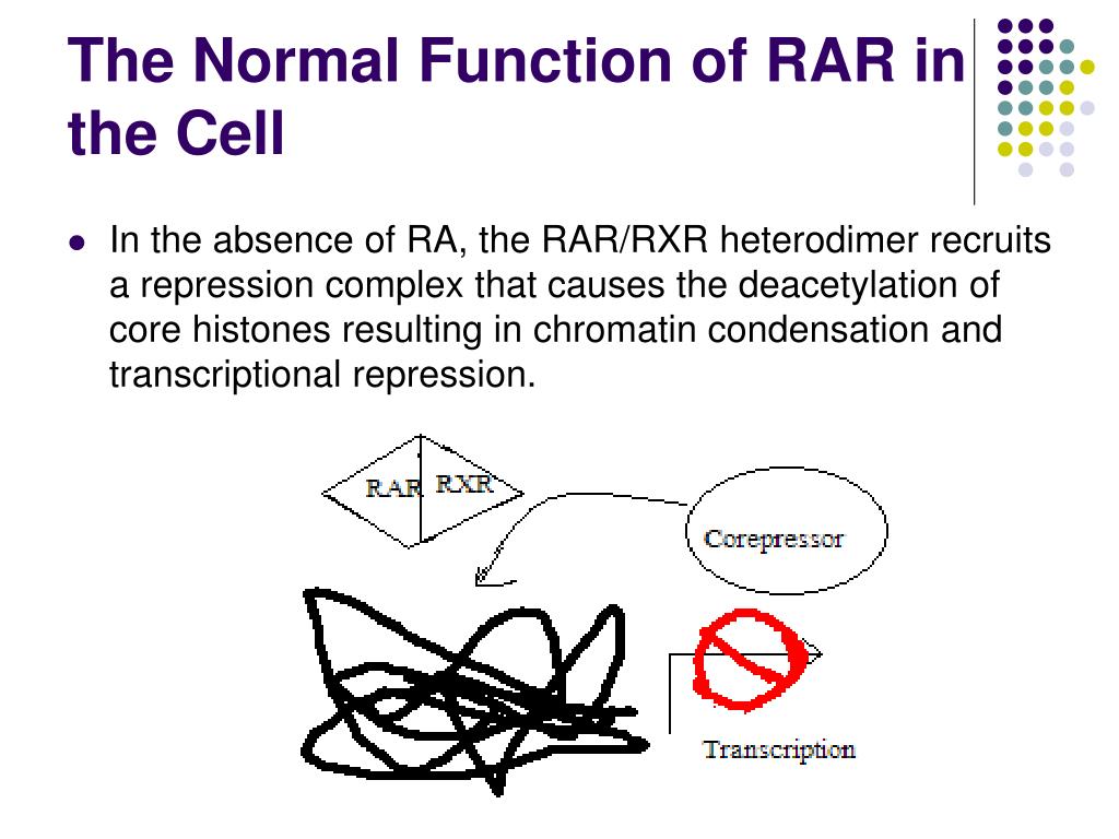 Rar Rx Interface PPT - Retinoic Acid Receptor-Alpha and Its Role in Acute Promyelocytic ...
