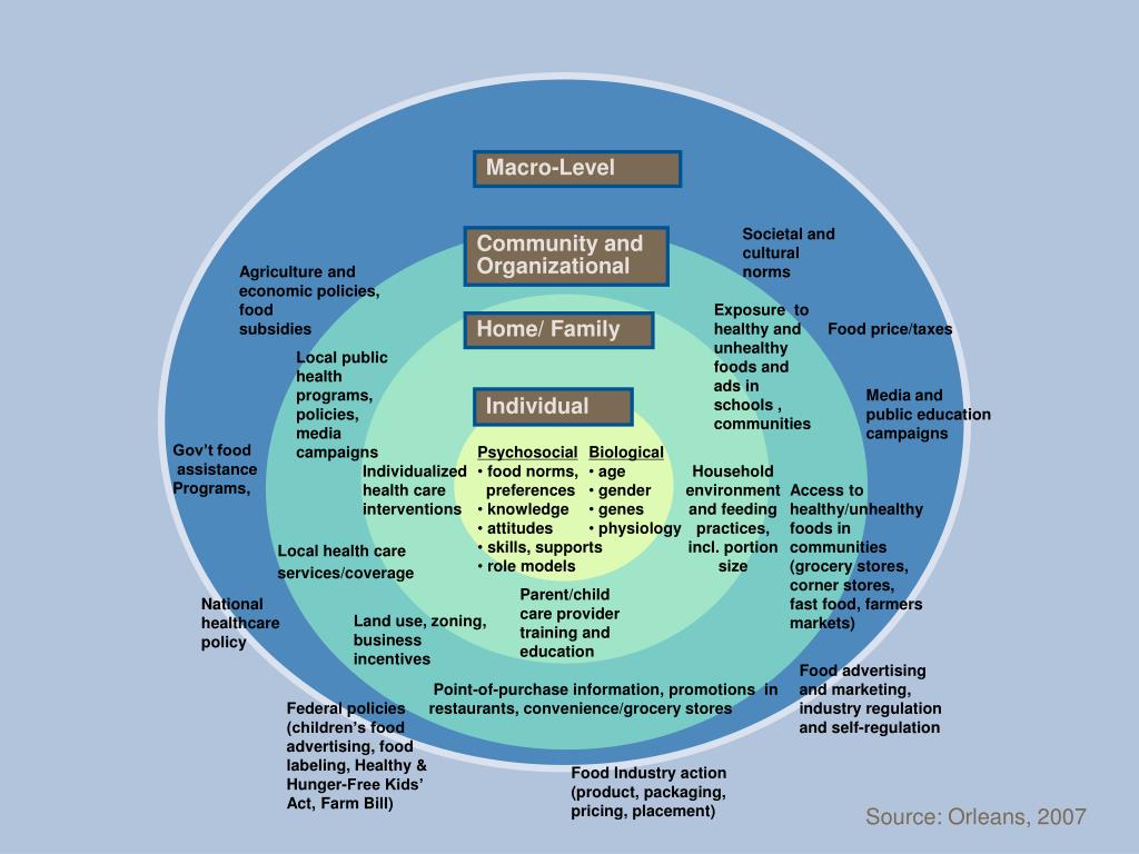 PPT - Food Advertising and Marketing to Children: RWJF Research ...