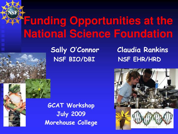 PPT - Funding Opportunities At The National Science Foundation ...