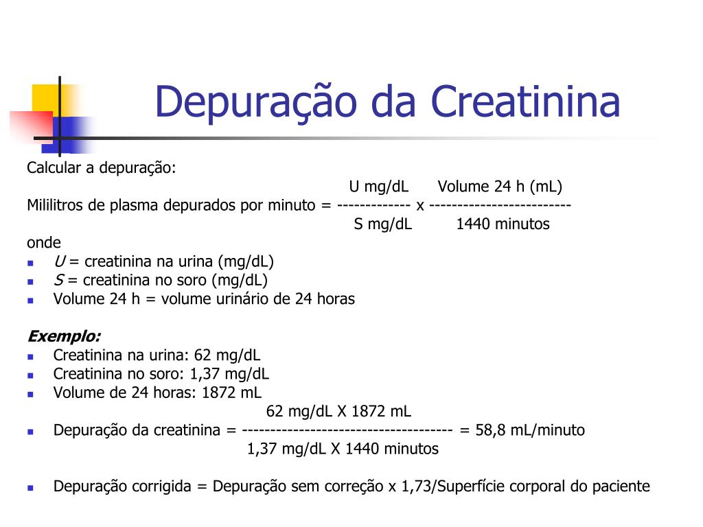 PPT - Avaliação da Função Renal PowerPoint Presentation, free download -  ID:3366170