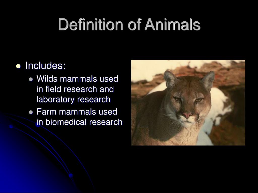PPT - Historical Perspectives of Research Animal Protection PowerPoint ...