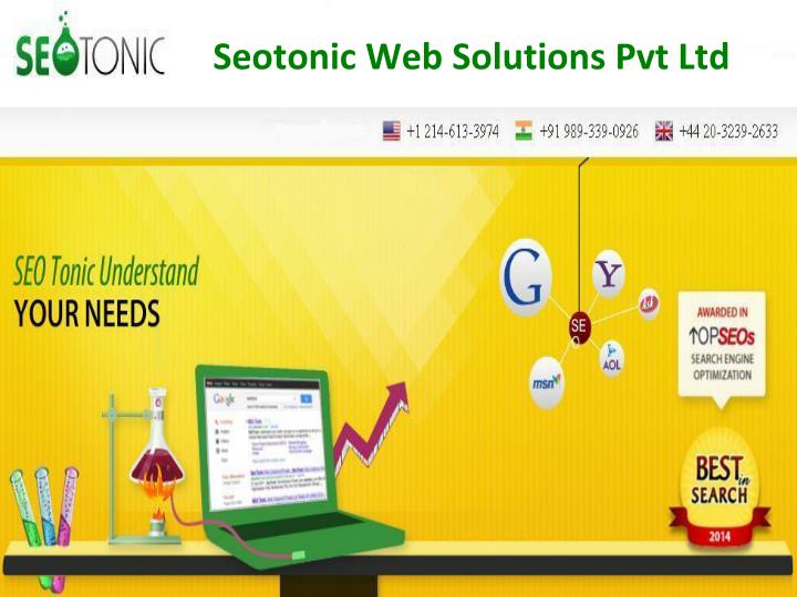 seotonic web solutions pvt ltd n.