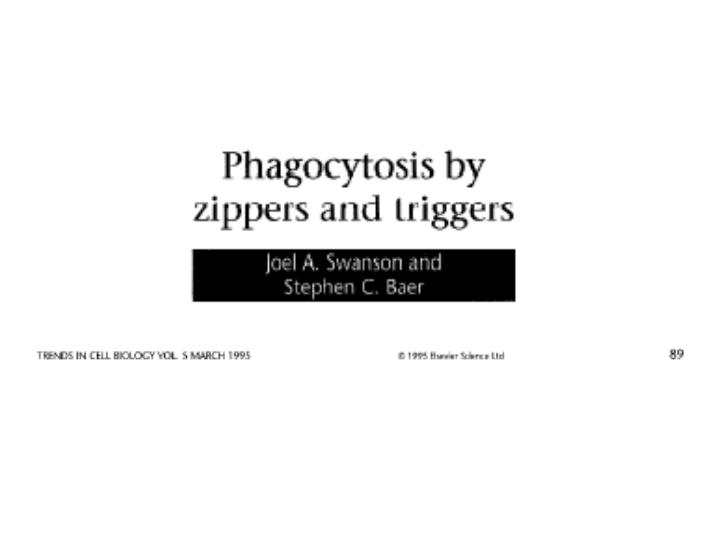 PPT - Zipper Mechanism PowerPoint Presentation, free download - ID:3370407