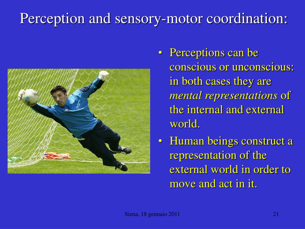 PPT Fisica ingenua e fisica teorica PowerPoint Presentation, free