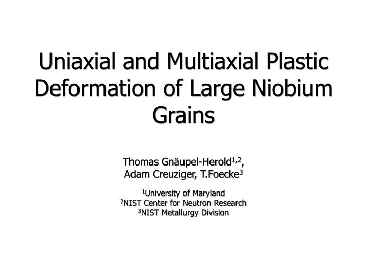 uniaxial and multiaxial plastic deformation of large niobium grains n.