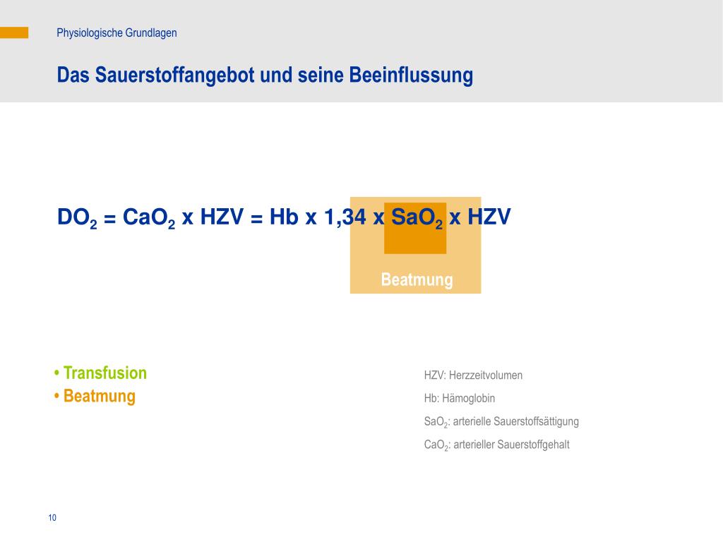 slide10-l.jpg