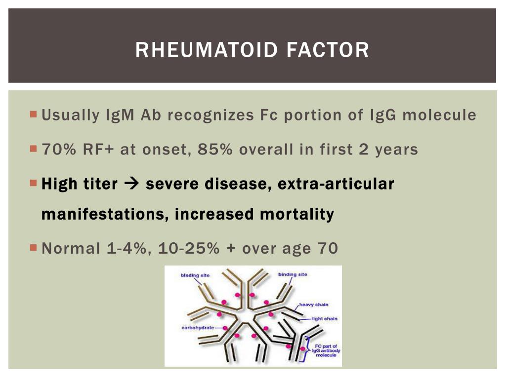 rheumatoid factor quant