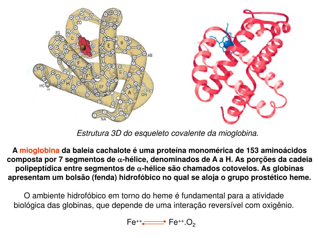 PPT - Hemoglobinas normais e patológicas PowerPoint Presentation, free ...