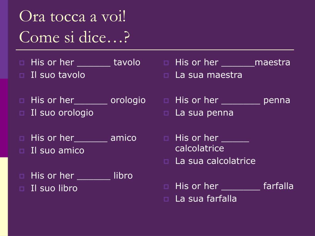 PPT - Gli aggettivi possessivi Possessive adjectives PowerPoint