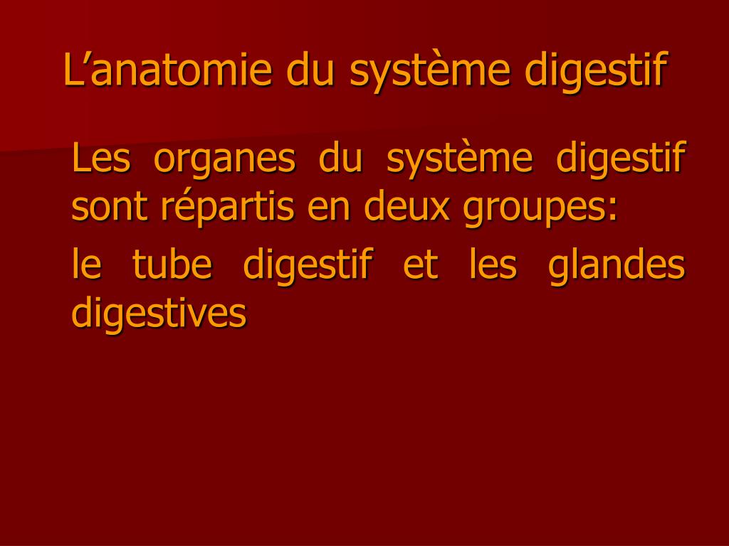 PPT - ANATOMIE DU TUBE DIGESTIF PowerPoint Presentation, free