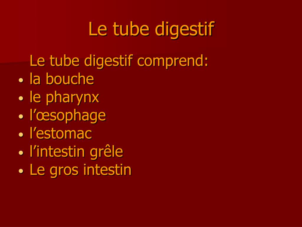 PPT - ANATOMIE DU TUBE DIGESTIF PowerPoint Presentation, free