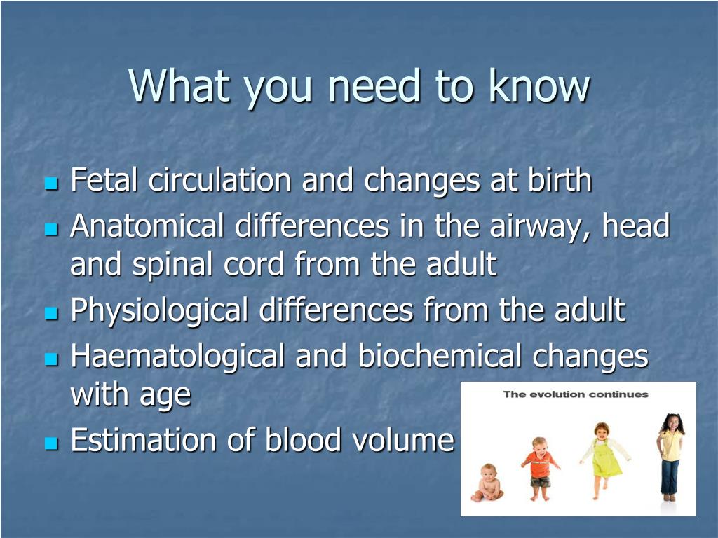 Neonatal and Paediatric Anatomy and Physiology PowerPoint ... Biology Diagrams