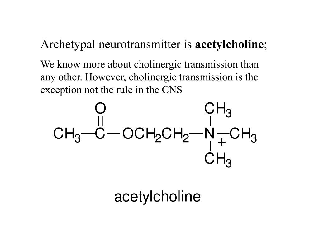 PPT - Neurotransmission PowerPoint Presentation, Free Download - ID:3377525