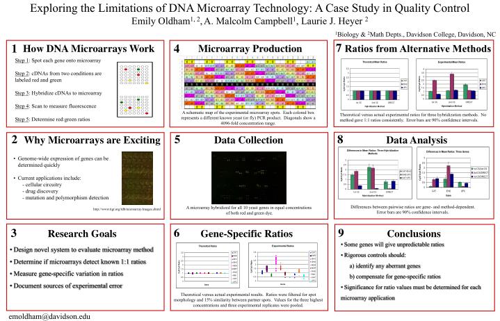 PPT - How DNA Microarrays Work PowerPoint Presentation, free download ...