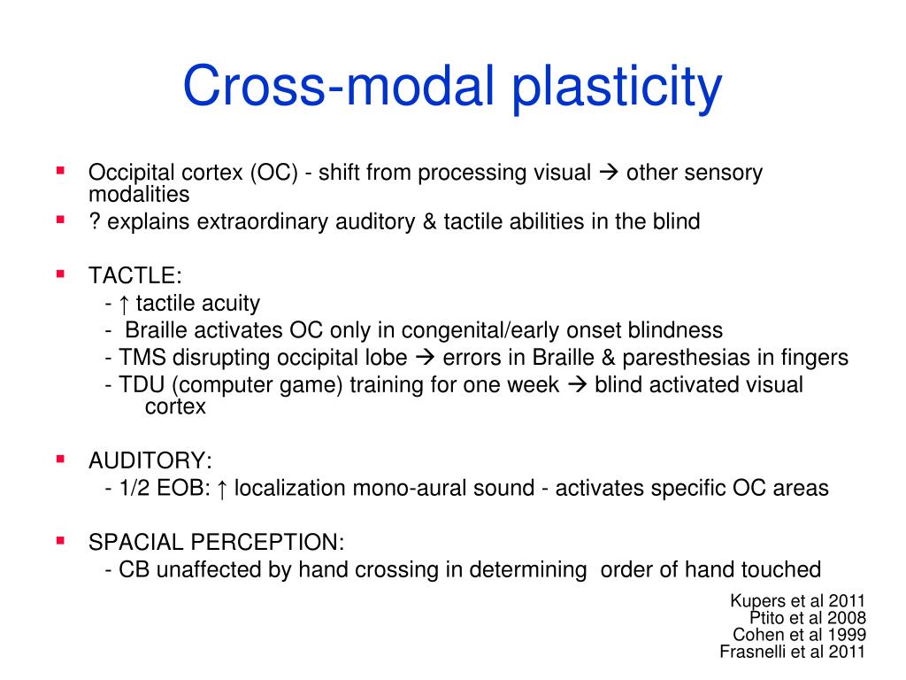 PPT - Plasticity of the Immature Brain: Sensory Deprivation, Focal ...