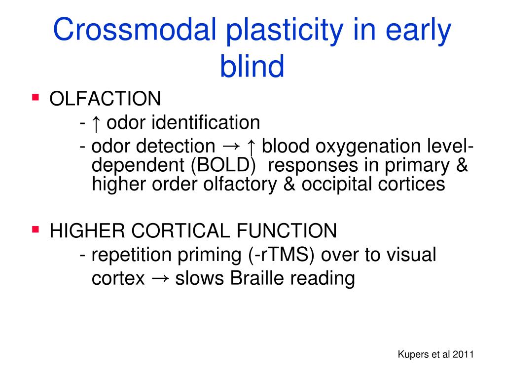 PPT - Plasticity of the Immature Brain: Sensory Deprivation, Focal ...