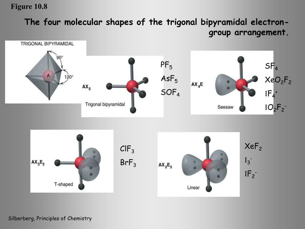 The four molecular shapes of the trigonal bipyramidal electron-group arrang...