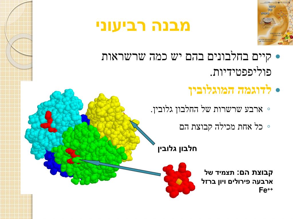 PPT - טעם של כימיה פרק ד' 1 – חלבונים – חלק 2 מחומצות אמיניות לחלבון  PowerPoint Presentation - ID:3381287