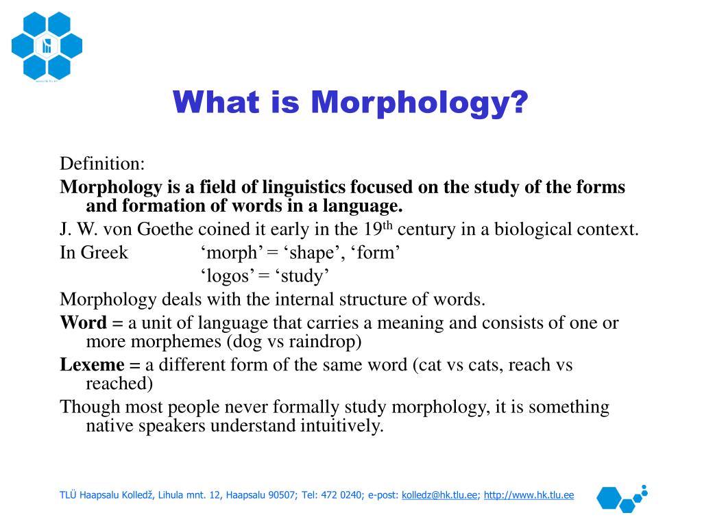 morphology ppt presentation download