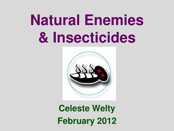 PPT - Natural Enemies & Insecticides PowerPoint Presentation, free