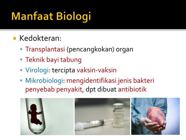 PPT - HAKIKAT BIOLOGI PowerPoint Presentation - ID:3384916