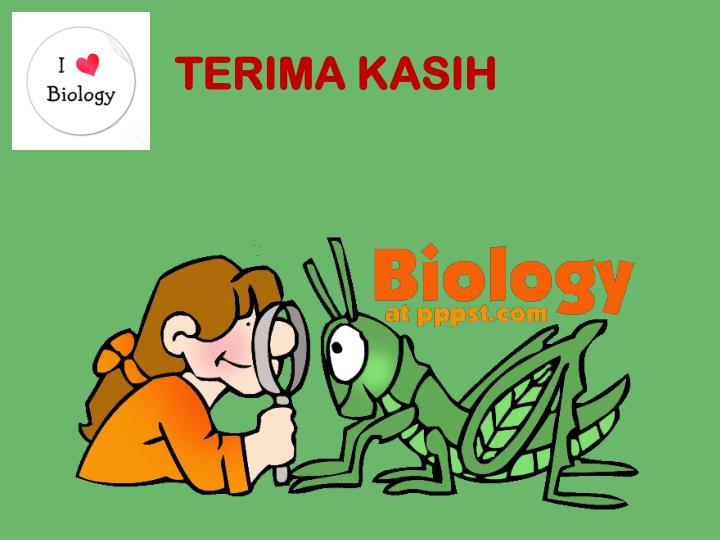 PPT - HAKIKAT BIOLOGI PowerPoint Presentation - ID:3384916