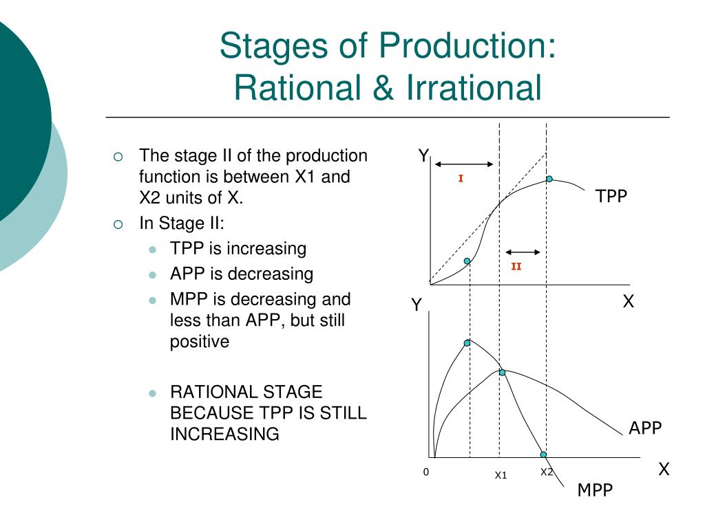 stages of production function