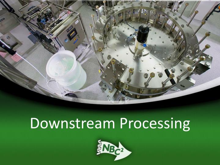 downstream processing n.