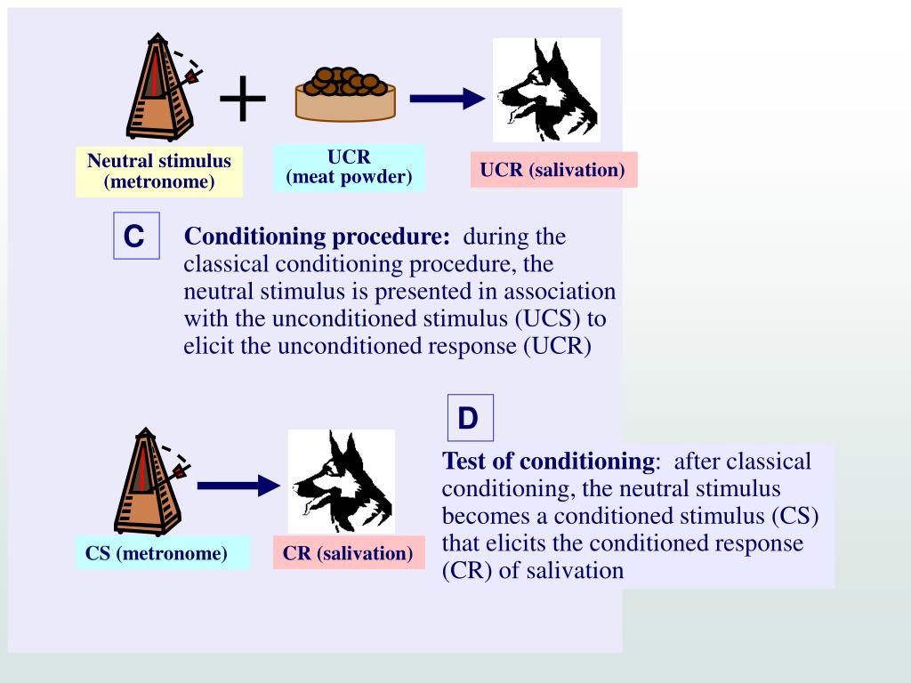 Conditioning process