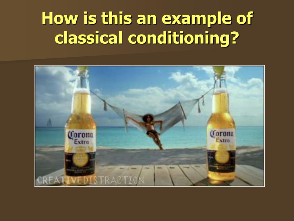PPT Classical Conditioning PowerPoint Presentation, free download
