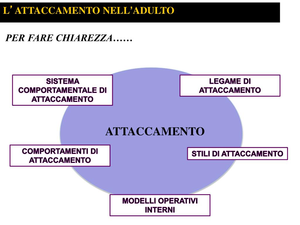 PPT - L ' ATTACCAMENTO NELL ' ADULTO PowerPoint Presentation, free download  - ID:3390702