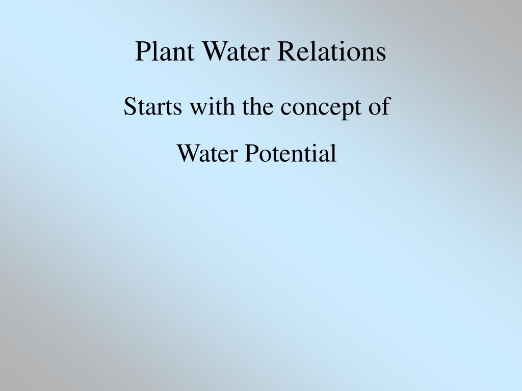 PPT WATER Properties, Role in Plants, Watering Strategies PowerPoint