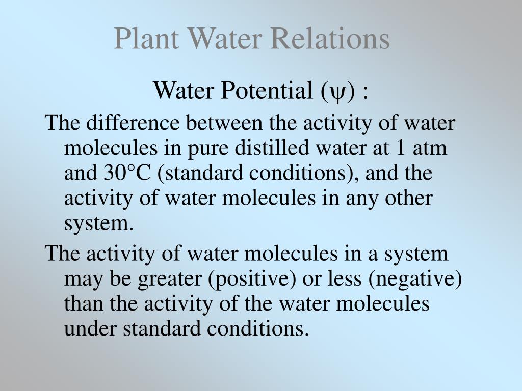 PPT WATER Properties, Role in Plants, Watering Strategies PowerPoint