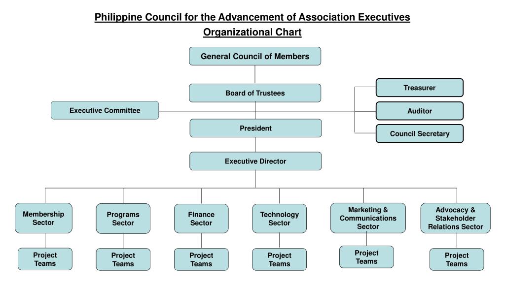 Ppt Philippine Council For The Advancement Of Association Executives Organizational Chart Powerpoint Presentation Id